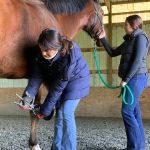 SKILLMAN Veterinary Services- Equine Veterinarian Clinic