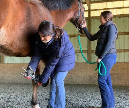 SKILLMAN Veterinary Services- Equine Veterinarian Clinic