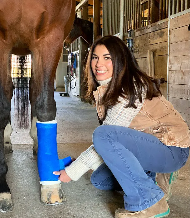 SKILLMAN Veterinary Services- Equine Veterinarian Clinic Picture 10