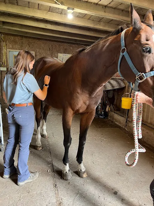SKILLMAN Veterinary Services- Equine Veterinarian Clinic Picture 8