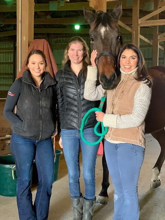 SKILLMAN Veterinary Services- Equine Veterinarian Clinic Picture 7