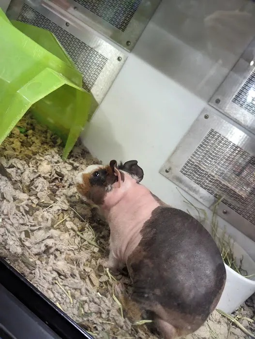 Petco Picture 7