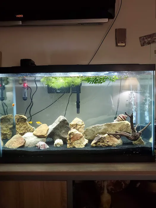 Petco Picture 2