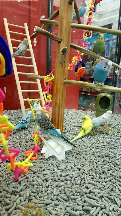 Petco Picture 9