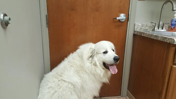 South Side Animal Hospital Picture 9