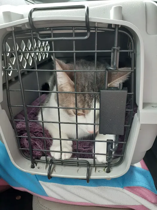 Churchman Animal Hospital Picture 1