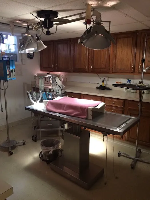 Churchman Animal Hospital Picture 8