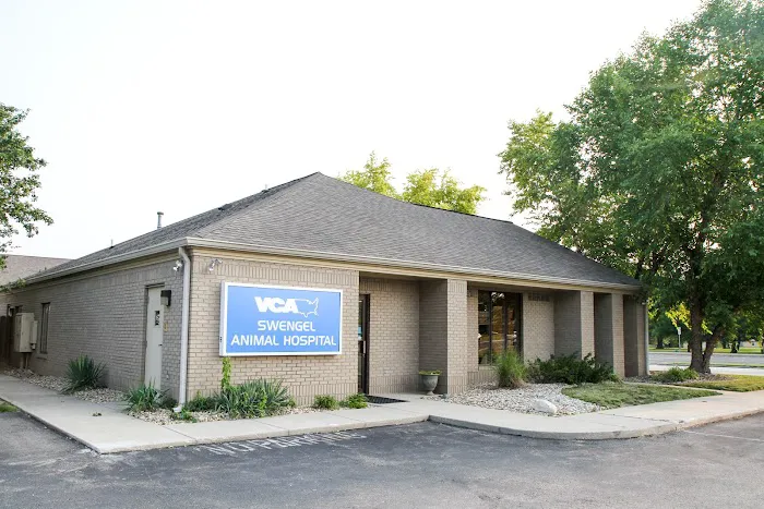 VCA Swengel Animal Hospital Picture 8