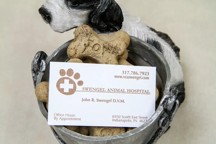 VCA Swengel Animal Hospital Picture 1