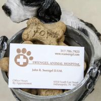 VCA Swengel Animal Hospital ico