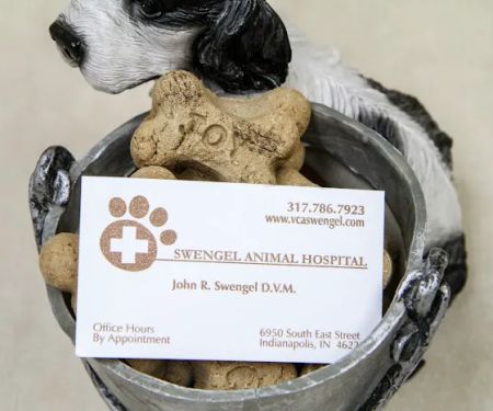 VCA Swengel Animal Hospital