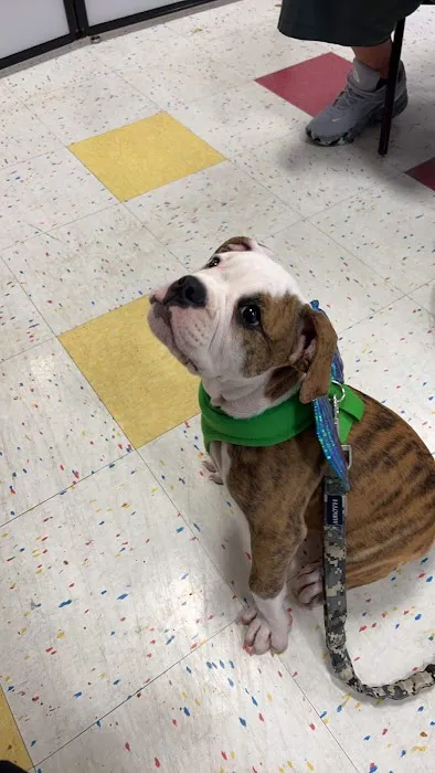 VCA Swengel Animal Hospital Picture 5