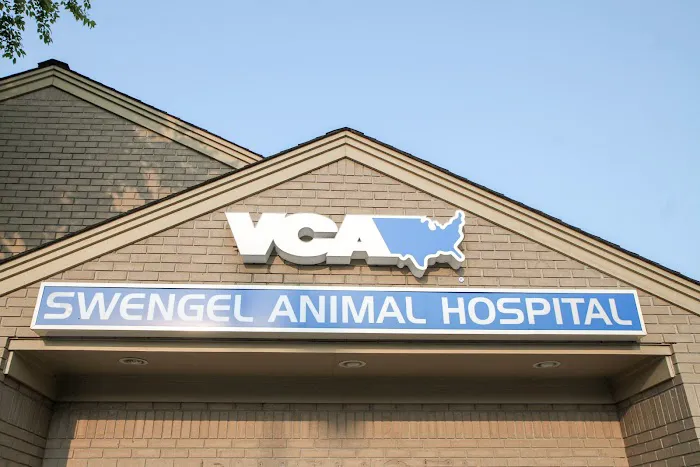 VCA Swengel Animal Hospital Picture 7