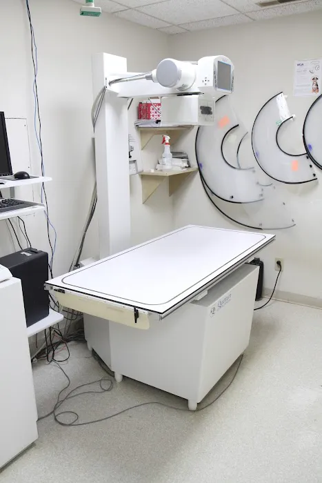 VCA Swengel Animal Hospital Picture 10