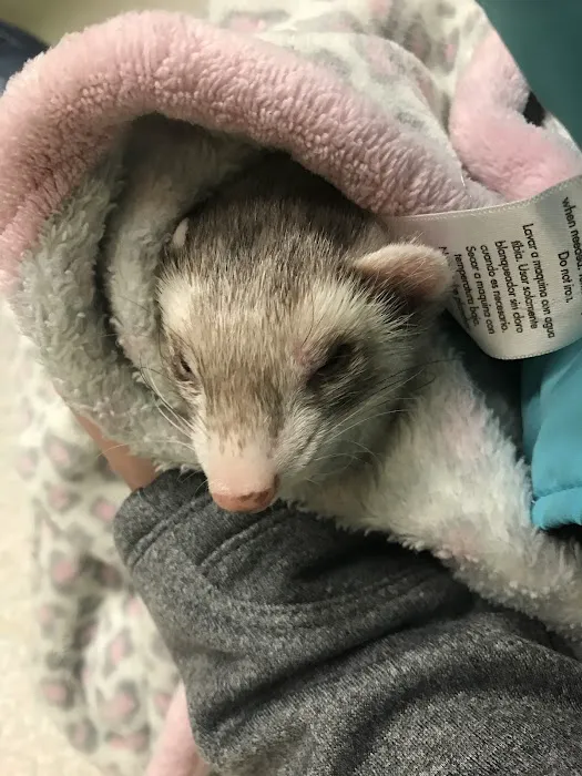 Clermont Animal Hospital Inc. Picture 8