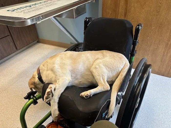 Clermont Animal Hospital Inc. Picture 6