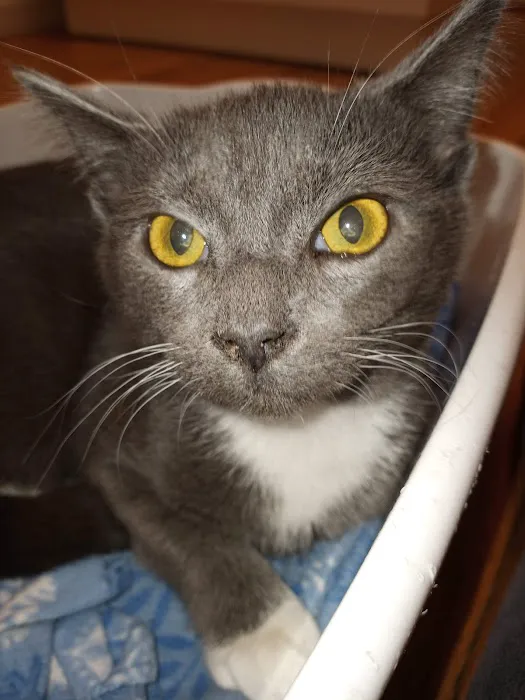 Family Animal Hospital Picture 10