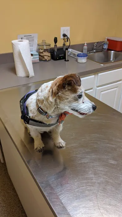 Rolling Hills Veterinary Service Picture 1