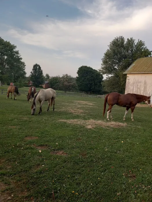 Rolling Hills Veterinary Service Picture 7