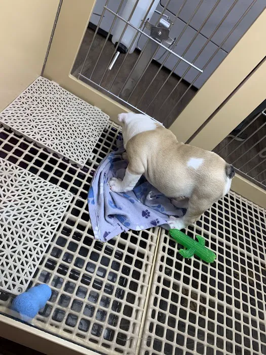 Petland Eastgate Picture 4