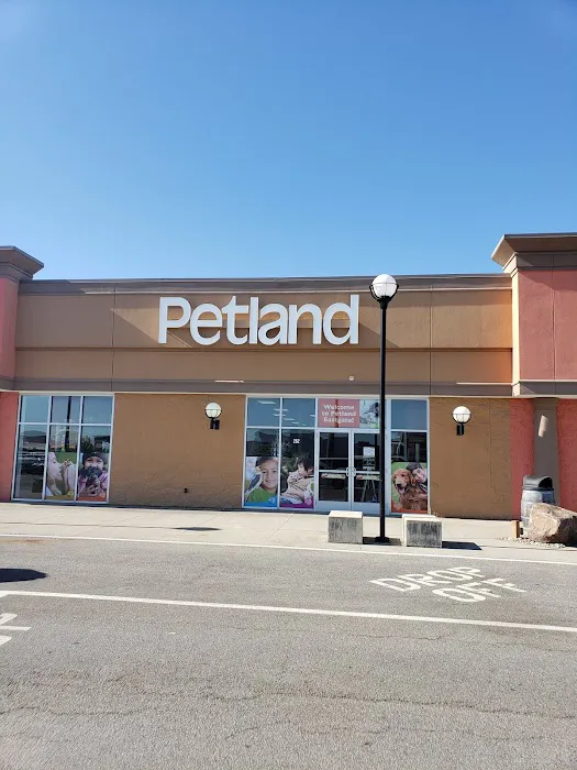 Petland Eastgate Picture 5
