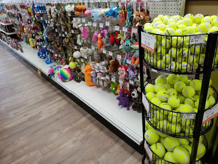 Petland Eastgate Picture 3
