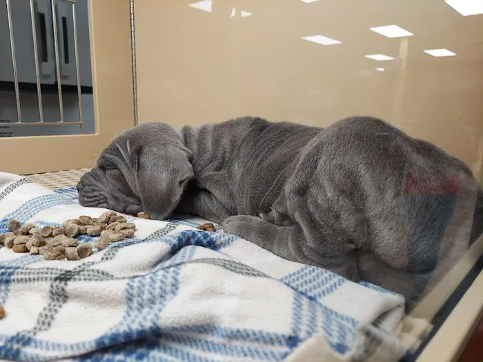 Petland Eastgate Picture 1