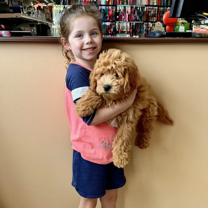 Petland Eastgate Picture 10