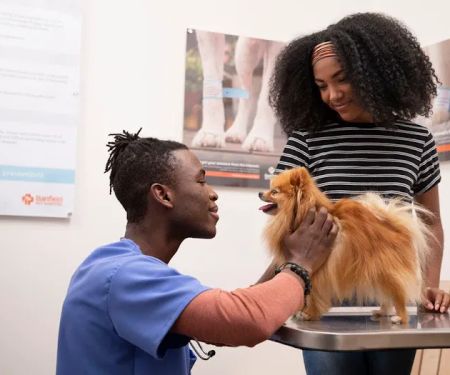 Banfield Pet Hospital