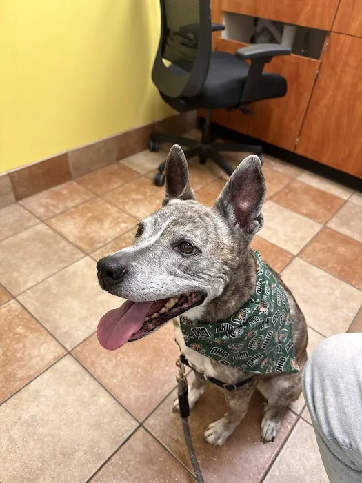 Banfield Pet Hospital Picture 6