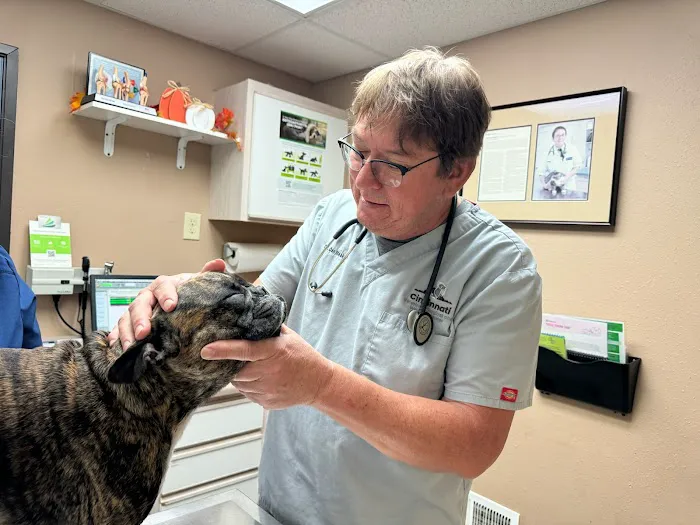 Cincinnati Veterinary Surgical & Wellness Center Picture 7