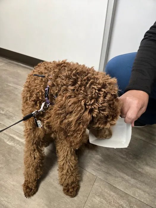 Cherry Grove Animal Hospital Picture 9