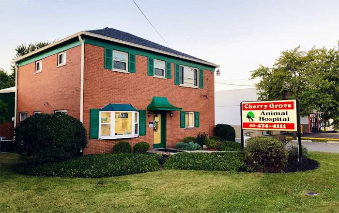 Cherry Grove Animal Hospital Picture 2