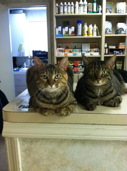 Cherry Grove Animal Hospital Picture 1