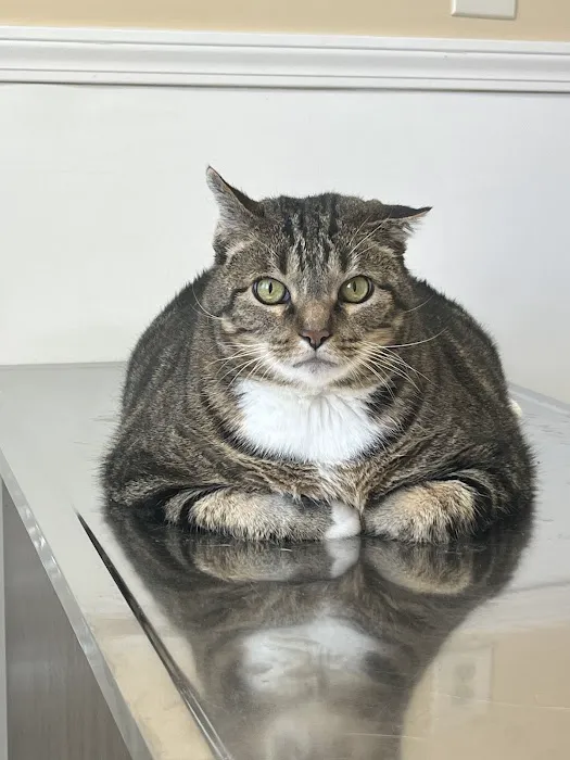 Cherry Grove Animal Hospital Picture 8