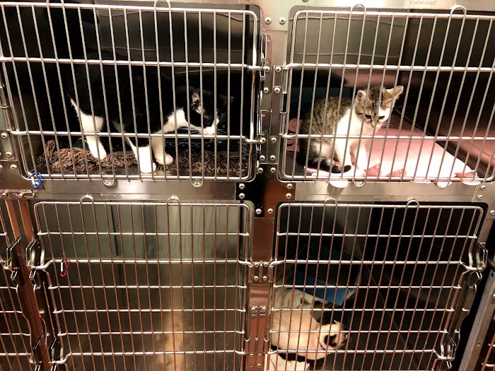 Bethel Community Pet Hospital Picture 5