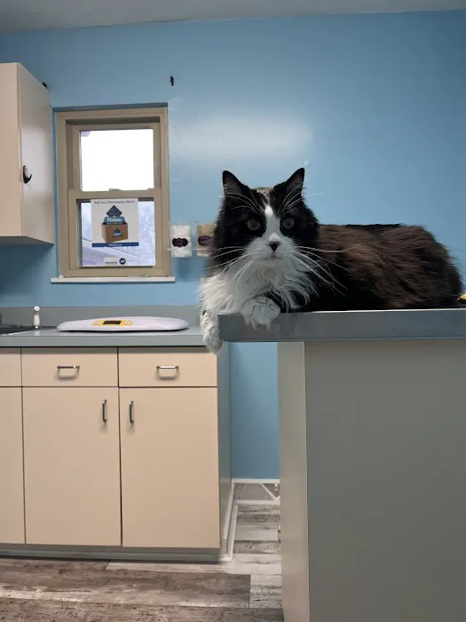 Nurture Animal Clinic Picture 3
