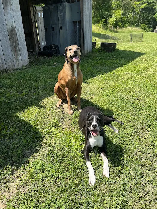Riverview Animal Hospital Picture 10
