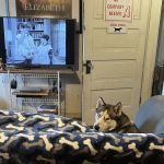 Riverview Animal Hospital