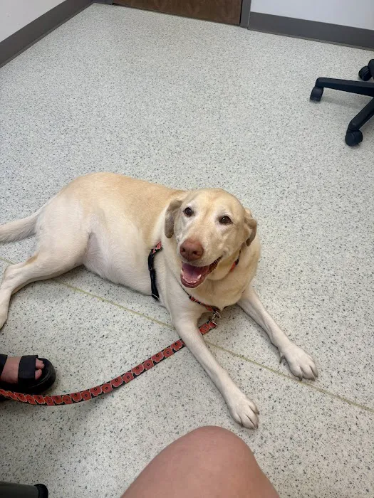 AcutePet Urgent Care Picture 5