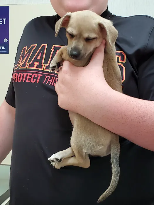 Bellevue Animal Hospital Picture 1