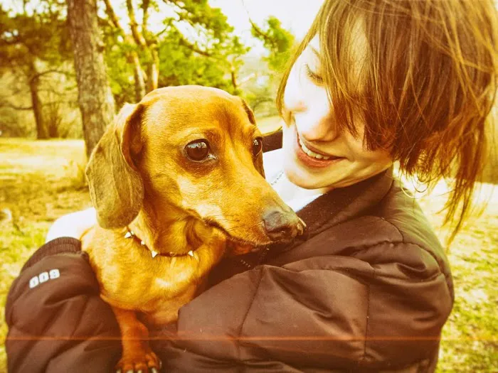 Plum Street Pet Clinic Picture 3