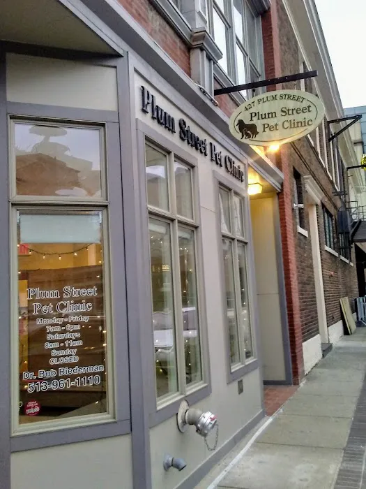 Plum Street Pet Clinic Picture 5