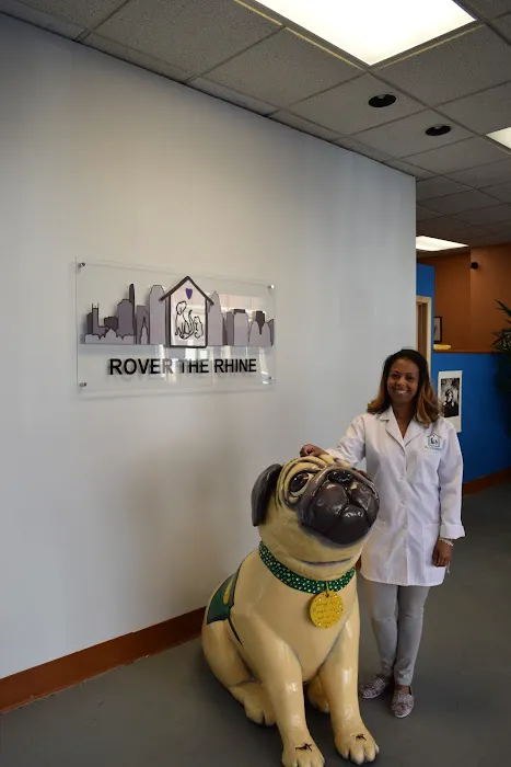 Rover The Rhine Picture 1