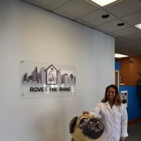 Rover The Rhine ico