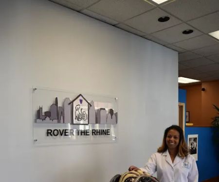 Rover The Rhine