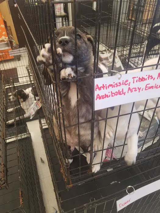 Petco Picture 10