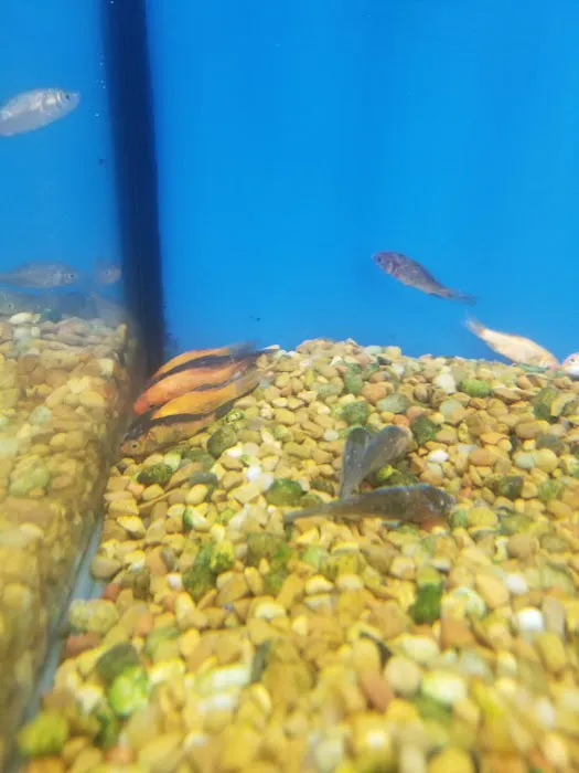 Petco Picture 2