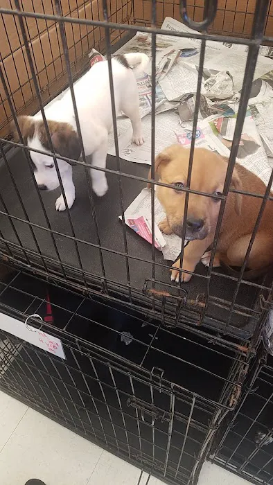 Petco Picture 6