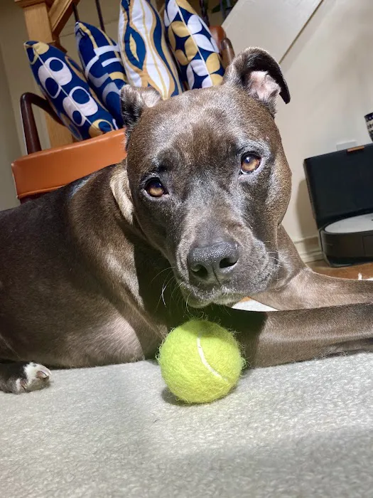 Petco Picture 7
